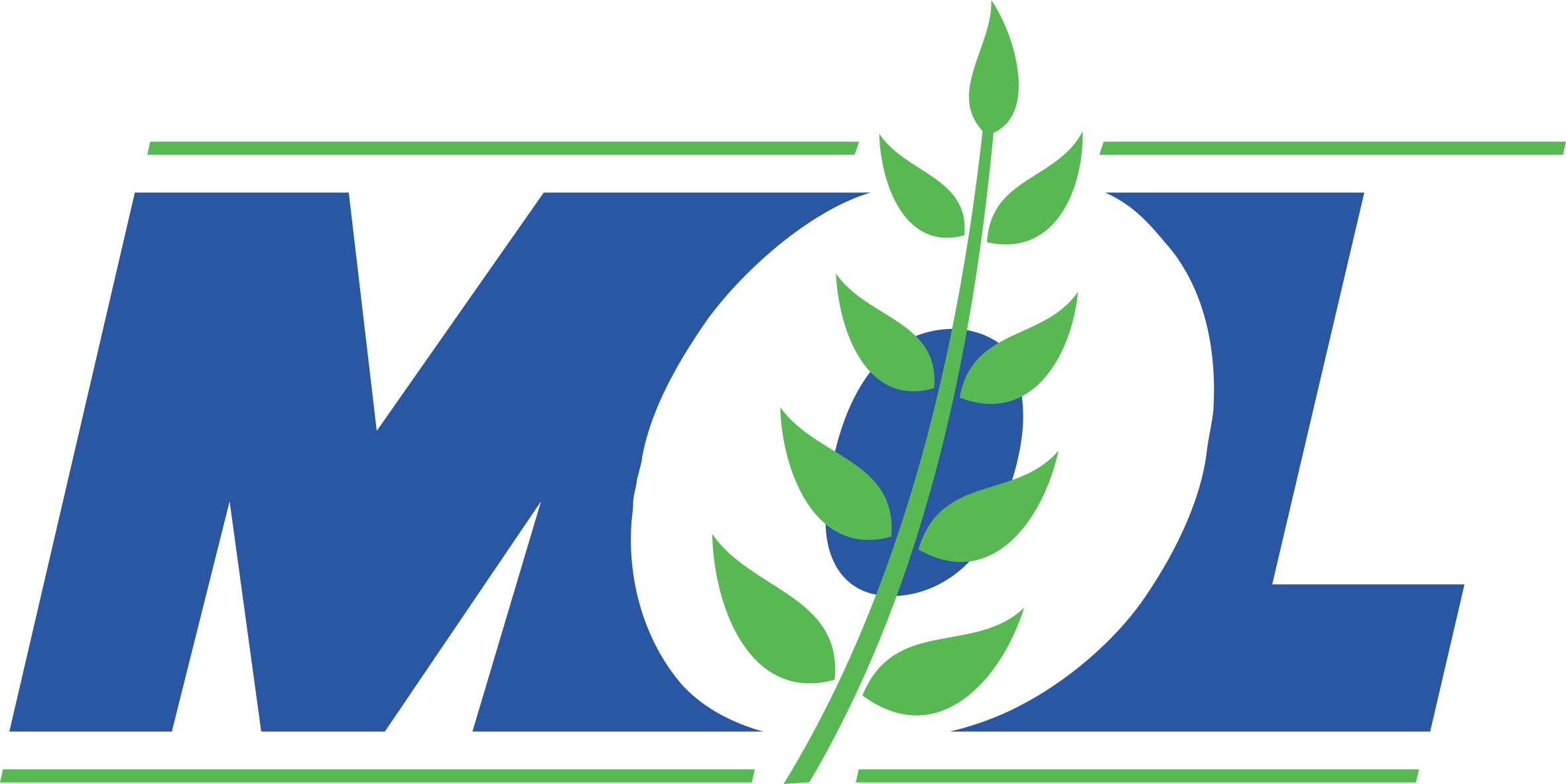 Meghmani Organics Ltd._logo